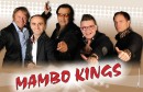 GASILSKA VESELICA PGD VIŽMARJE-BROD Z ANSAMBLOM MAMBO KINGS